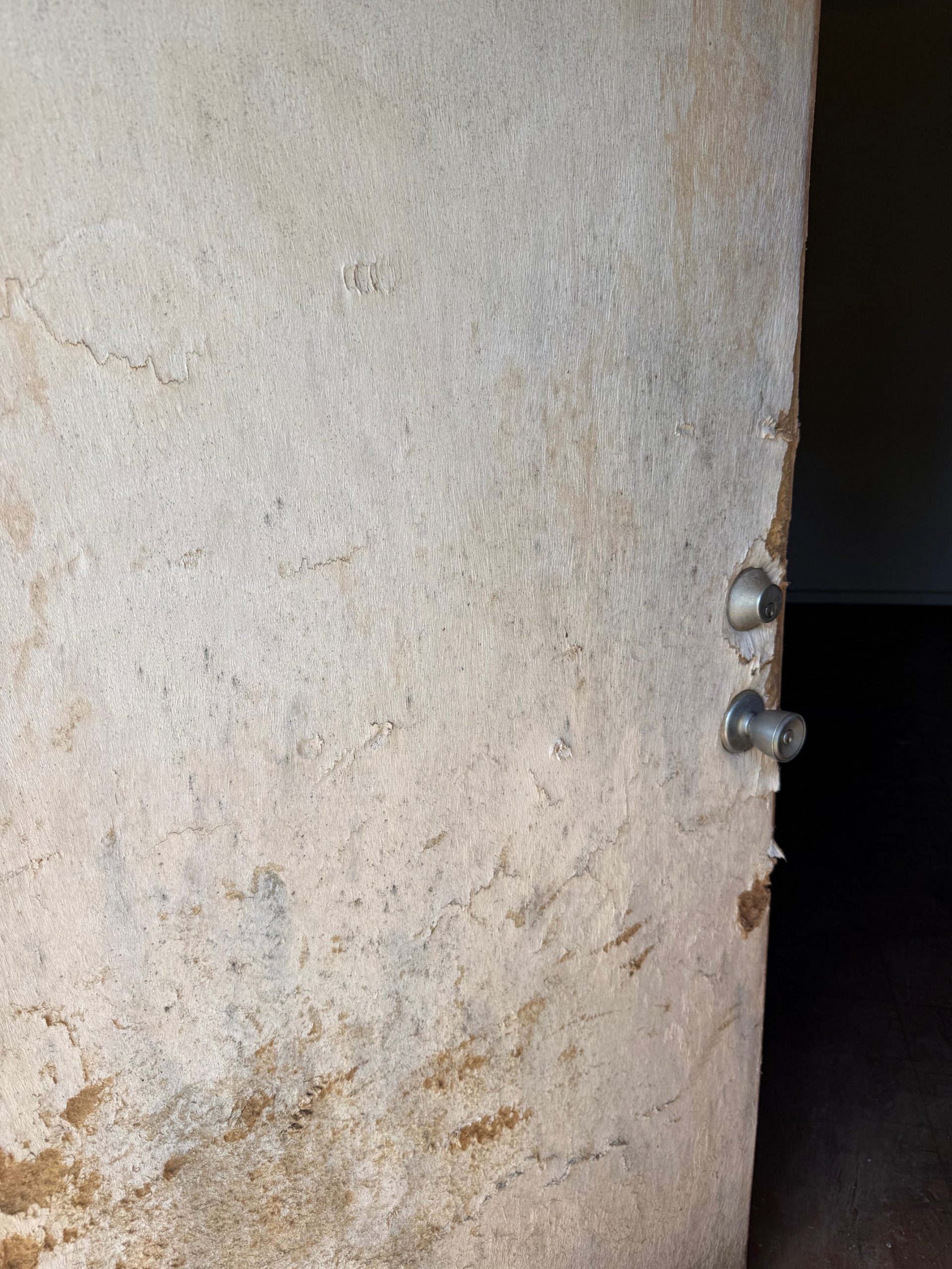 Terrible old exterior door