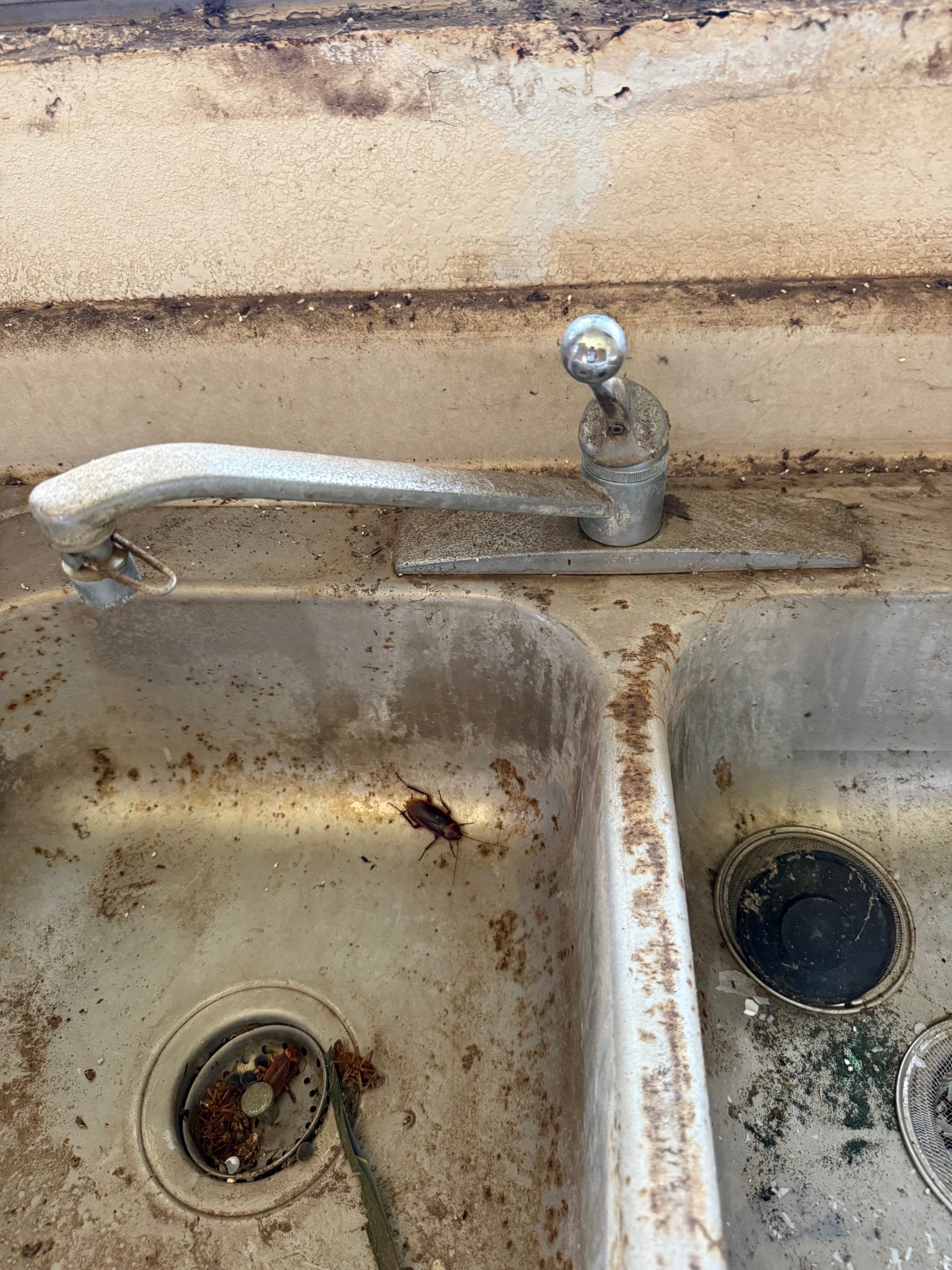 Old sink with cockroaches
