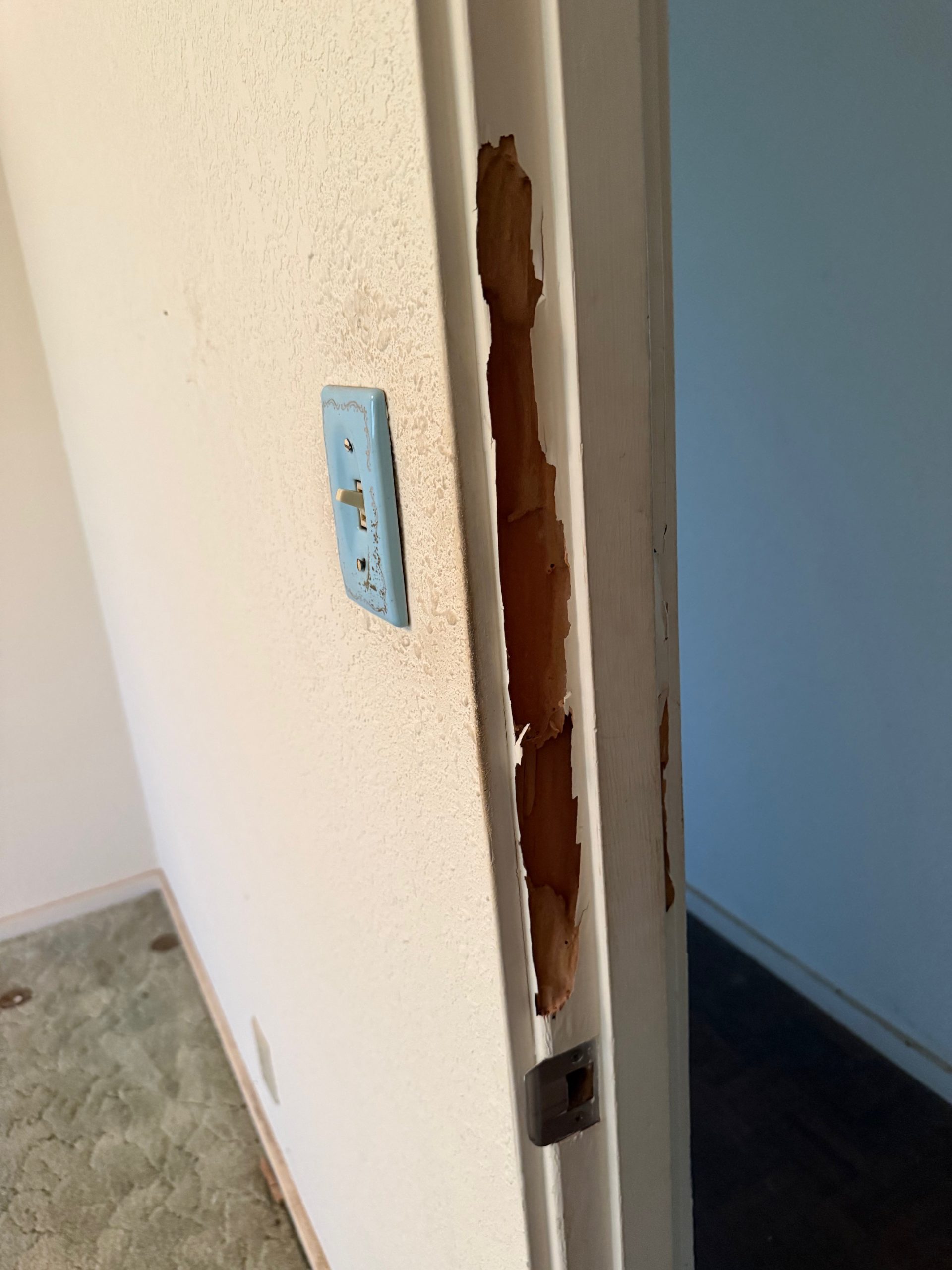 The Cost To Fix Up A Rundown Two-Bedroom In-Law Unit - termite attend interior door trim