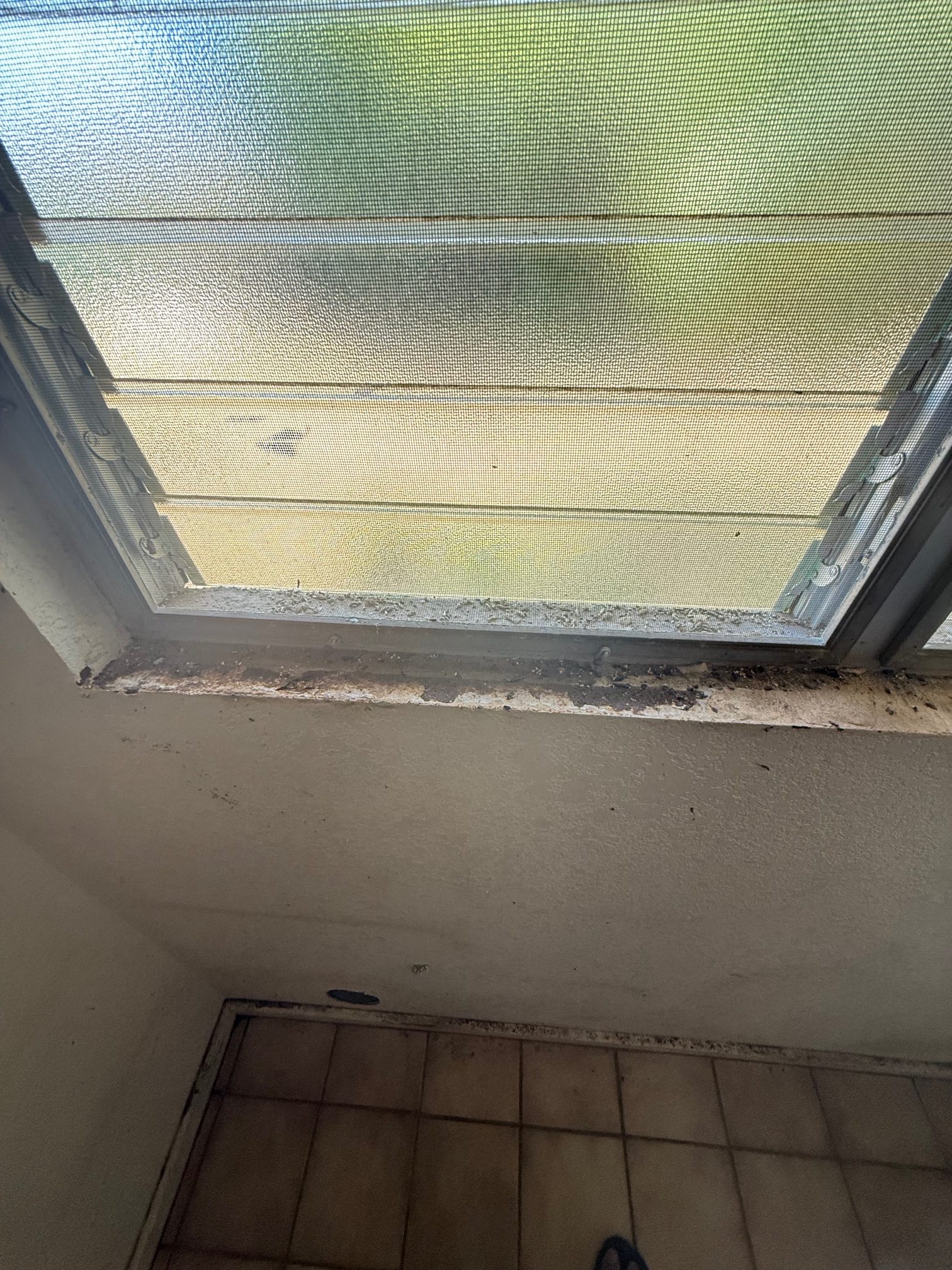 window ledges all falling apart